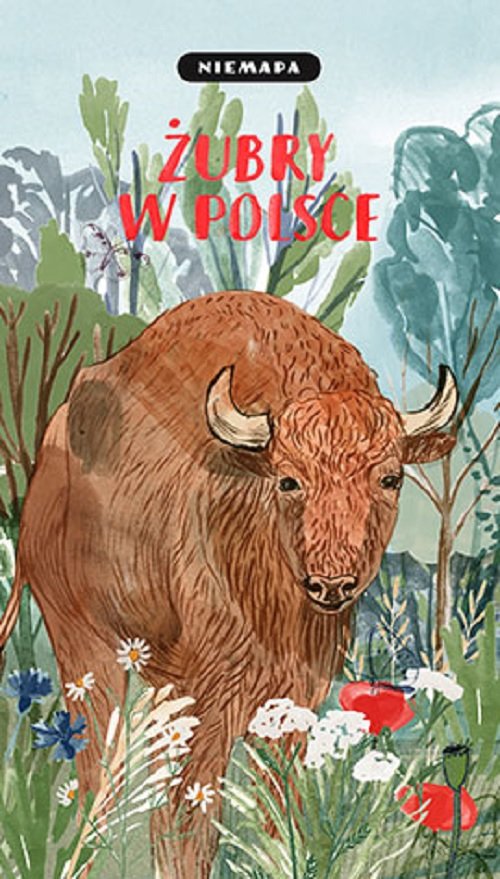 NIEMAPA Żubry w Polsce