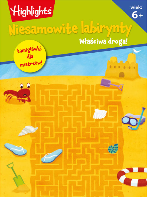 Niesamowite labirynty. Właściwa droga