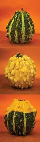 Niezbadana Planeta PORTAL