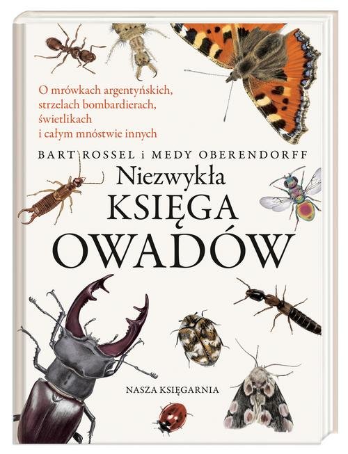 Niezwykła księga owadów