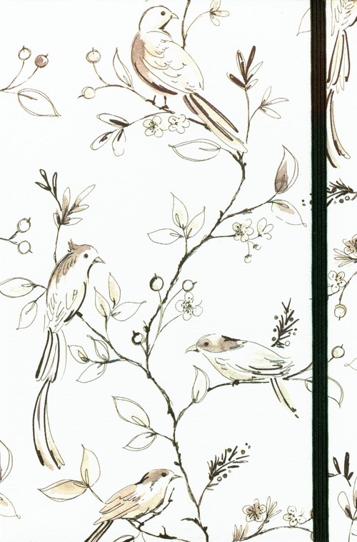 Notatnik Mini szkice ptaków