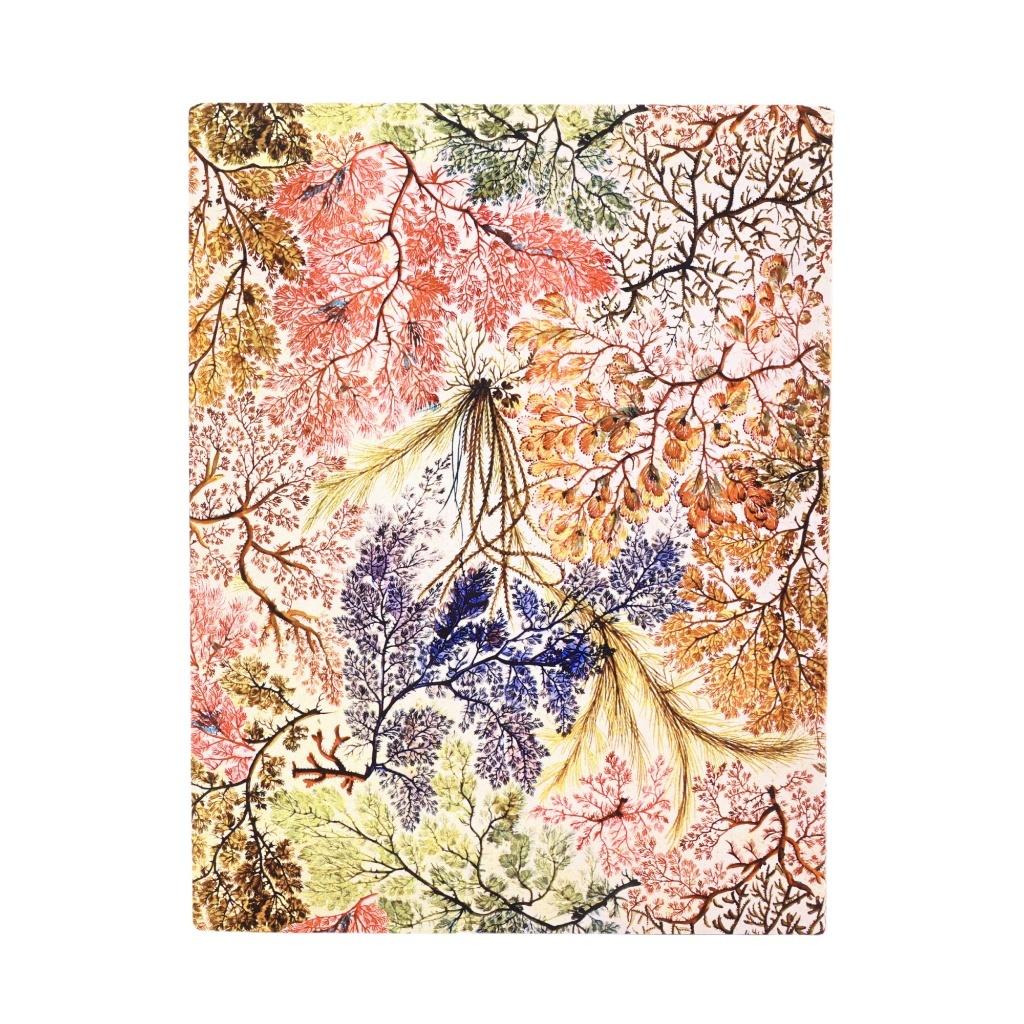 Notatnik w linie Paperblanks William Kilburn, Anemone Ultra