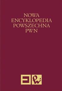 Nowa encyklopedia powszechna Tom 4