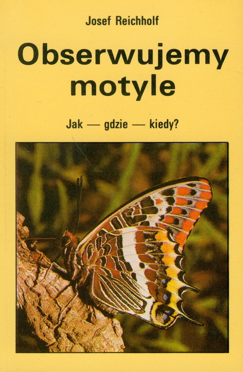 Obserwujemy motyle. Jak - gdzie - kiedy?