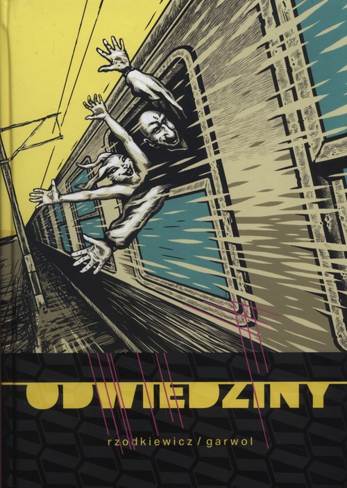 Odwiedziny