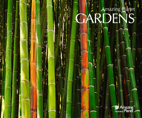 Ogrody - 5 fotografii w passe-partout