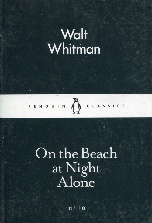 On the Beach at Night Alone