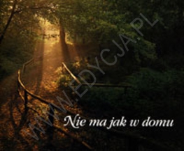 Opowieści przydrożnych kapliczek ziemi radomskiej