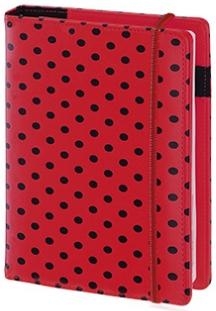 Organizer 2013 tygodniowy z gumką 10.5X14.5