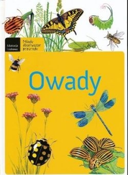 Owady