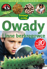 Owady i inne bezkręgowce