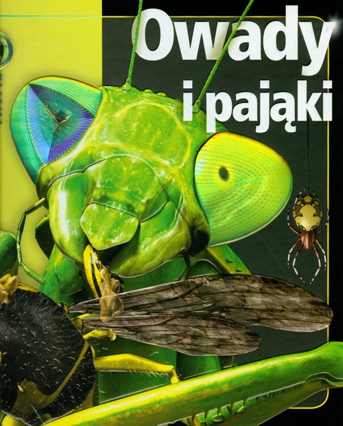 Owady i pająki. Z bliska