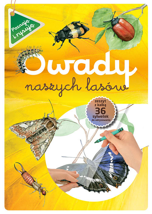Owady naszych lasów zeszyt w kalką