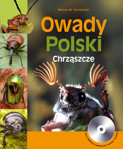 Owady Polski. Chrząszcze