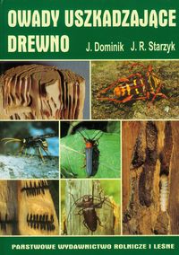 Owady uszkadzające drewno