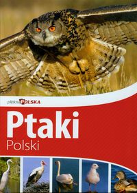 Piękna Polska. Ptaki Polski