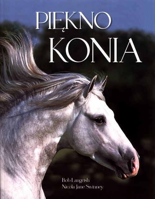 Piękno konia