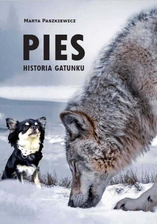 Pies Historia gatunku