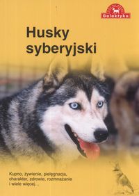 Pies na medal - Husky Syberyjski