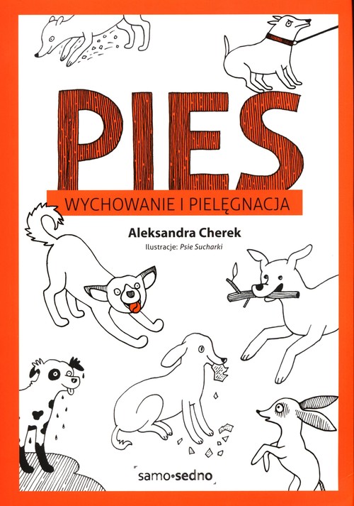 Pies Wychowanie i pielęgnacja