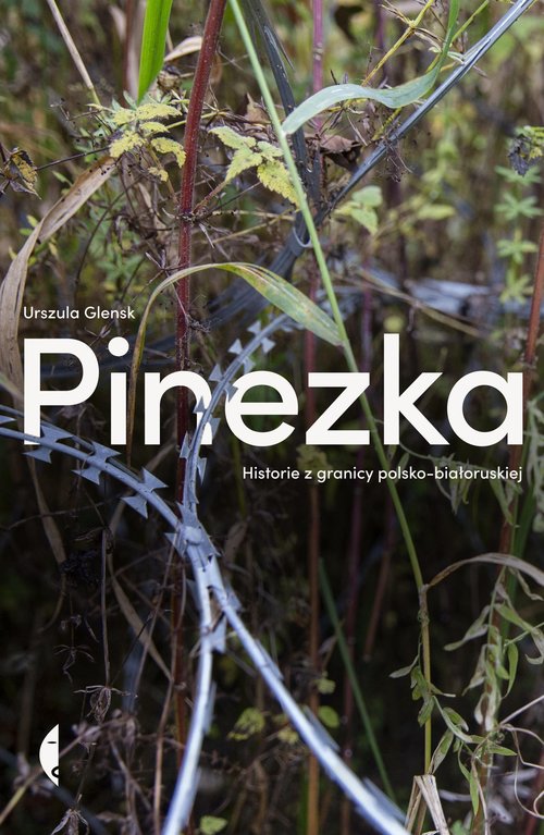 Pinezka