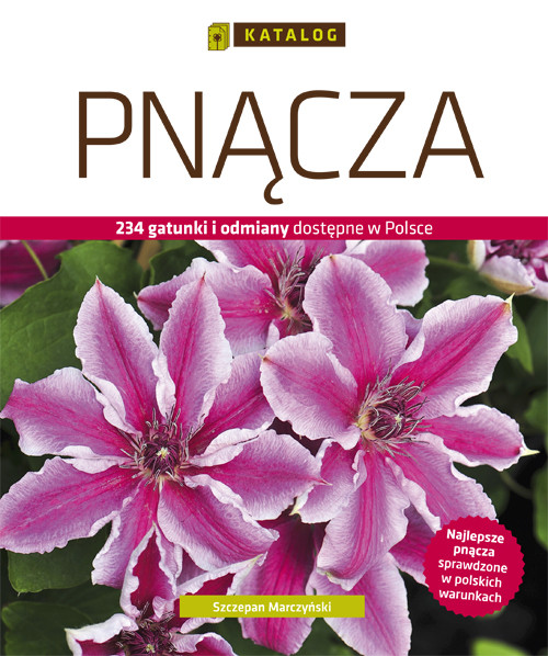 Pnącza Katalog