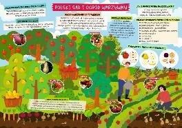 Podkładka na biurko dwustronna B3 sad i ogród warzywny