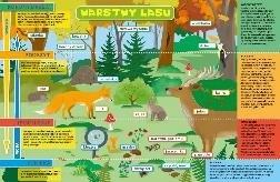Podkładka na biurko dwustronna B3 warstwy lasu i łąka