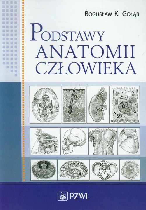 Podstawy anatomii człowieka (wydanie 2)