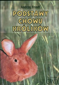 Podstawy chowu królików