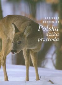 Polska dzika przyroda