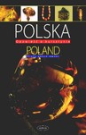 Polska Opowieść o bursztynie