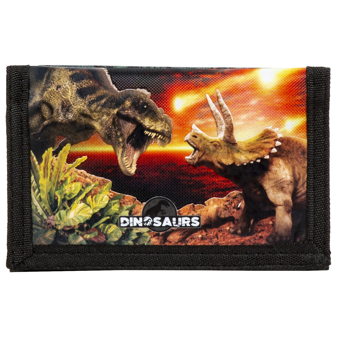 Portfel Dinozaur 18