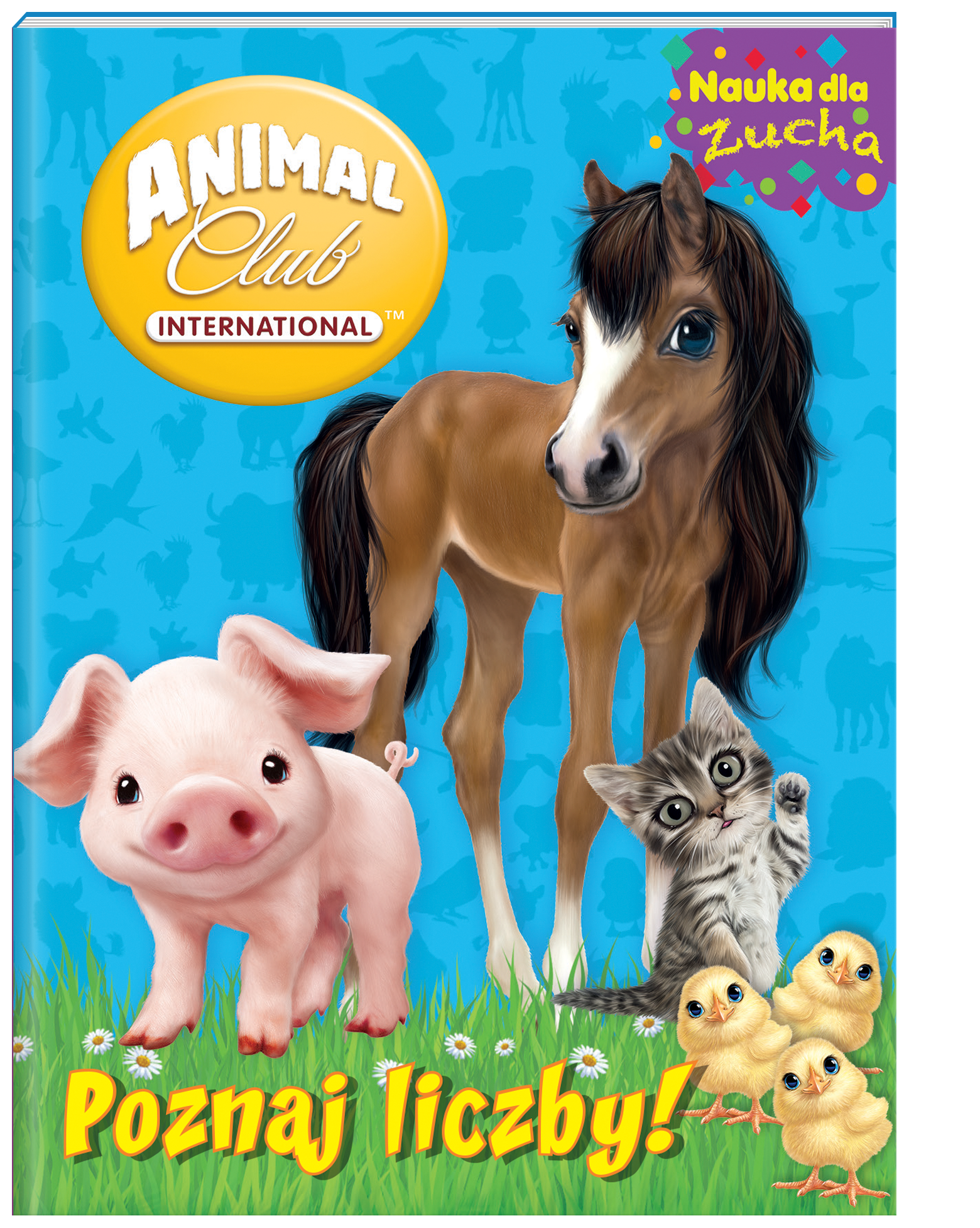 Poznaj liczby animal club nauka dla zucha