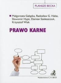 Prawo karne