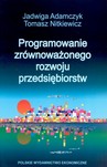 PROGRAMOWANIE ZRÓWNOWAŻONEGO ROZWOJU PRZEDSIĘBIORSTW