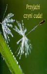 PRZYJAŹŃ CZYNI CUDA