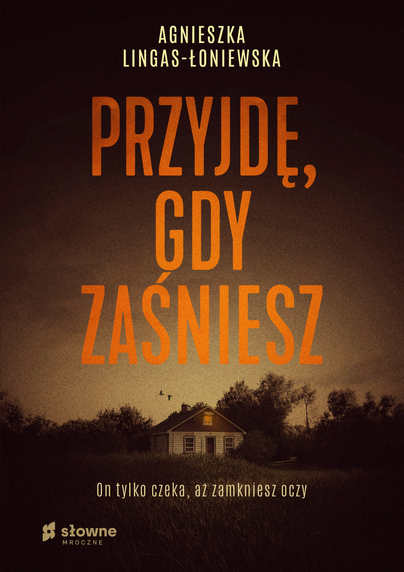 Przyjdę gdy zaśniesz