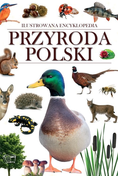 Przyroda Polski