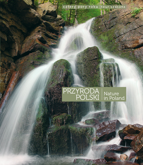 Przyroda Polski. Cztery pory roku