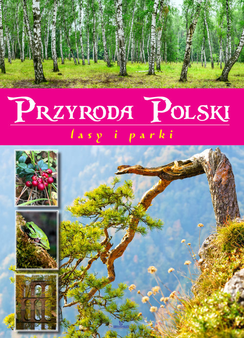 Przyroda Polski Lasy i parki