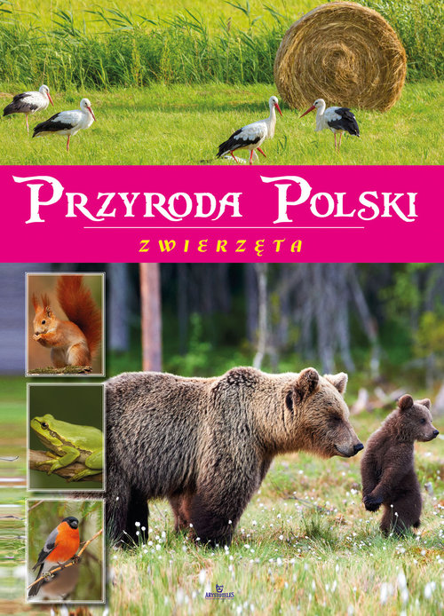 Przyroda Polski Zwierzęta