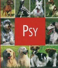 Psy