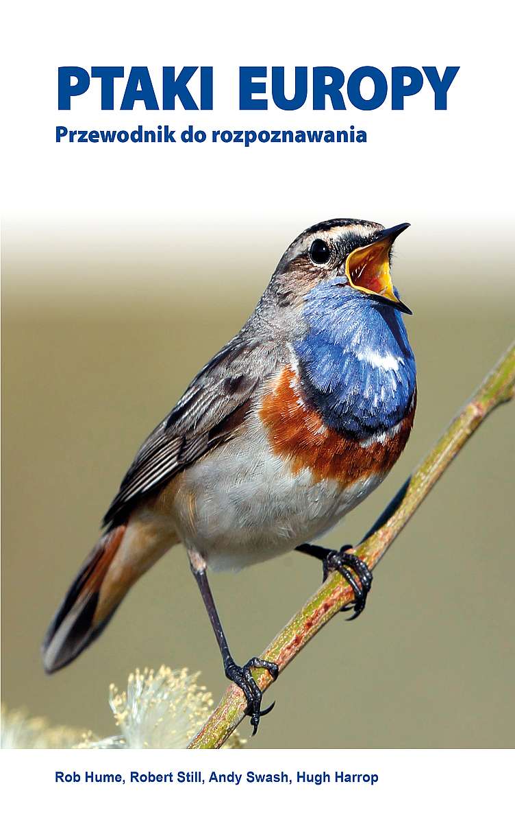 Ptaki Europy Przewodnik do rozpoznawania
