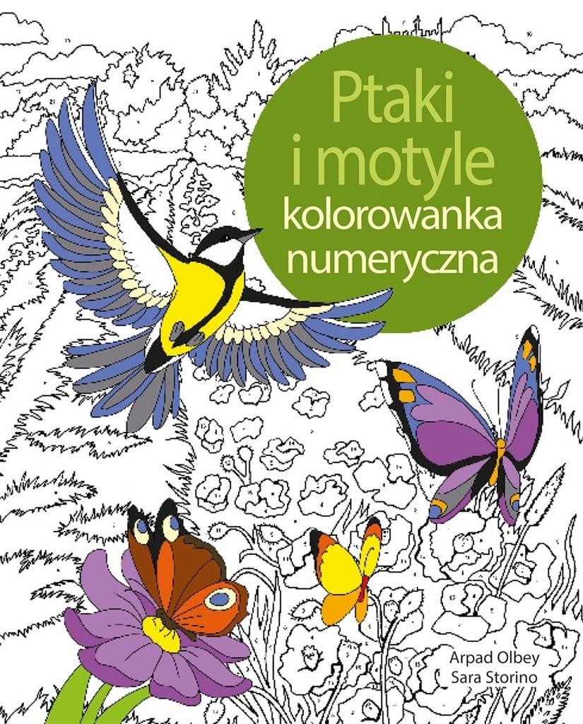 Ptaki i motyle. Koloruj według numerów