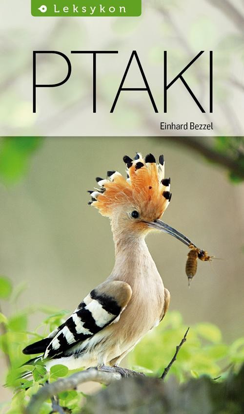 Ptaki. Leksykon
