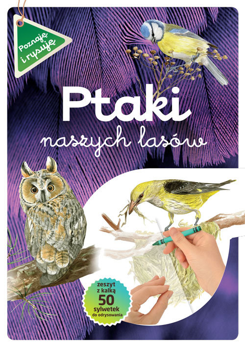 Ptaki naszych lasów zeszyt z kalką