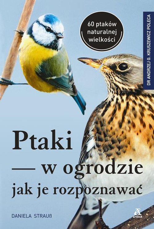 Ptaki w ogrodzie - jak je rozpoznawać