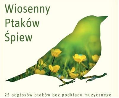 Ptasi Poranek w Lesie CD