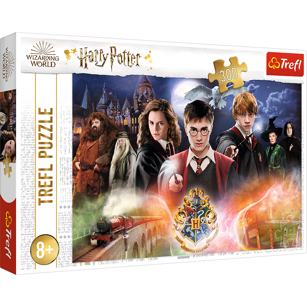 Puzzle 300 Tajemniczy Harry Potter